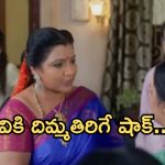 Intinti Ramayanam Today Episode: పల్లవికి దిమ్మతిరిగే షాక్.. మీనాక్షికి పల్లవి క్షమాపణలు.. అవని స్ట్రాంగ్ వార్నింగ్..