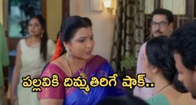 Intinti Ramayanam Today Episode: పల్లవికి దిమ్మతిరిగే షాక్.. మీనాక్షికి పల్లవి క్షమాపణలు.. అవని స్ట్రాంగ్ వార్నింగ్..