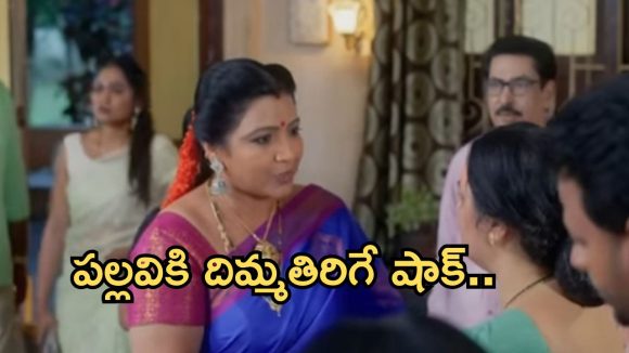 Intinti Ramayanam Today Episode: పల్లవికి దిమ్మతిరిగే షాక్.. మీనాక్షికి పల్లవి క్షమాపణలు.. అవని స్ట్రాంగ్ వార్నింగ్..