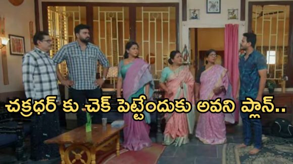 Intinti Ramayanam Today Episode: అవనికి అక్షయ్ గిఫ్ట్.. చక్రధర్ పై రాజేంద్ర ప్రసాద్ సీరియస్.. పల్లవికి దిమ్మతిరిగే షాక్..