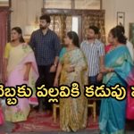 Intinti Ramayanam Today Episode: మీనాక్షిని చంపేందుకు చక్రధర్ మాస్టర్ ప్లాన్.. మీనాక్షికి షాకిచ్చిన పార్వతి.. అక్షయ్ కు నిజం తెలుస్తుందా..?