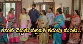 Intinti Ramayanam Today Episode: మీనాక్షిని చంపేందుకు చక్రధర్ మాస్టర్ ప్లాన్.. మీనాక్షికి షాకిచ్చిన పార్వతి.. అక్షయ్ కు నిజం తెలుస్తుందా..?