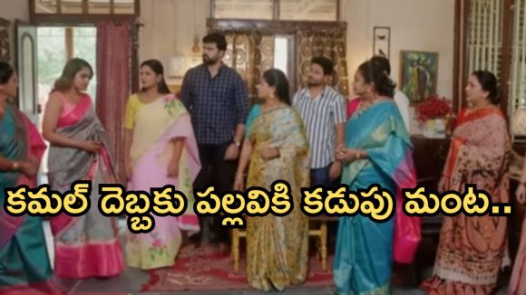 Intinti Ramayanam Today Episode: మీనాక్షిని చంపేందుకు చక్రధర్ మాస్టర్ ప్లాన్.. మీనాక్షికి షాకిచ్చిన పార్వతి.. అక్షయ్ కు నిజం తెలుస్తుందా..?