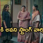 Intinti Ramayanam Today Episode: కమల్ దెబ్బకు పల్లవికి షాక్.. మీనాక్షికి కన్నీళ్లు..అవనికి గుడ్ న్యూస్..