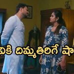 Intinti Ramayanam Today Episode: పల్లవికి షాకిచ్చిన మీనాక్షి.. కమల్ దెబ్బకు పల్లవికి మైండ్ బ్లాక్.. అవనికి తండ్రి ఎవరో తెలుస్తుందా..?