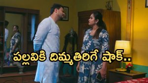 Intinti Ramayanam Today Episode: పల్లవికి షాకిచ్చిన మీనాక్షి.. కమల్ దెబ్బకు పల్లవికి మైండ్ బ్లాక్.. అవనికి తండ్రి ఎవరో తెలుస్తుందా..?
