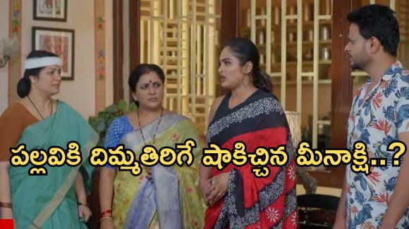Intinti Ramayanam Today Episode: పల్లవికి చక్రధర్ సర్ప్రైజ్.. అవనికి నిజం చెప్పిన మీనాక్షి.. పల్లవికి షాక్..