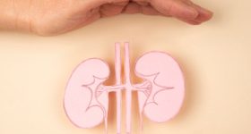 SuperFoods for Kidneys: కిడ్నీలు చెడిపోకుండా ఎన్నాళ్లయినా కాపాడే సూపర్ ఫుడ్స్ ఇవిగో