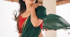 Mirna Menon : పచ్చ కోకలో పరువాల విందు.. మిర్నా అందాలకు ఫిదా..