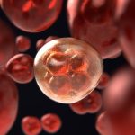 Cancer Prevent Foods: క్యాన్సర్ రాకుండా అడ్డుకునే వంటింటి మసాలాలు ఇవిగో