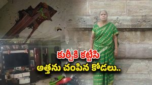 Visakhapatnam Incident: అమ్మా నా కోడలా.. దొంగ పోలీస్ ఆట ఆడి.. అత్తను ఎలా లేపేసిందంటే..!