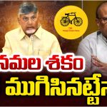Ex Minister Yanamala: యనమల చిరకాల కోరిక తీరేనా?
