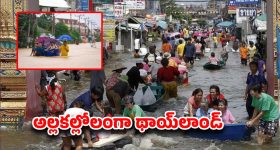 Rain Alert: బీభత్సం సృష్టిస్తున్న వర్షాలు.. 16 జిల్లాలను ముంచెత్తిన వరదలు..