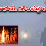 Winter Weather Update: తెలుగు రాష్ట్రాల్లో చంపేస్తున్న చలి.. ఈ జిల్లాల్లో సింగిల్ డిజిట్‌కు పడిపోయిన ఉష్ణోగ్రతలు