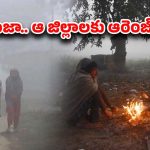 Cold Weather: వణికిస్తున్న చలి పులి.. దారుణంగా పడిపోతున్న ఉష్ణోగ్రతలు