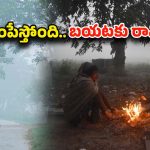 Cold Wave: బాబోయ్..! చలి చంపేస్తోంది.. వణుకుతున్న తెలుగు రాష్ట్రాల ప్రజలు.. జాగ్రత్తగా ఉండాలన్న అధికారులు