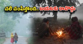 Cold Wave: బాబోయ్..! చలి చంపేస్తోంది.. వణుకుతున్న తెలుగు రాష్ట్రాల ప్రజలు.. జాగ్రత్తగా ఉండాలన్న అధికారులు