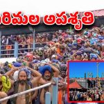 sabarimala: తీవ్ర విషాదం.. శబరిమల యాత్రలో అపశృతి.. క్యూలైన్‌లో మహిళ మృతి..!