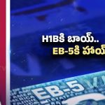 Donald Trump: ఎవరీ జొహ్రాన్‌ మమ్దానీ? న్యూయార్క్ మేయర్ బ్యాక్ గ్రౌండ్ ఇదే