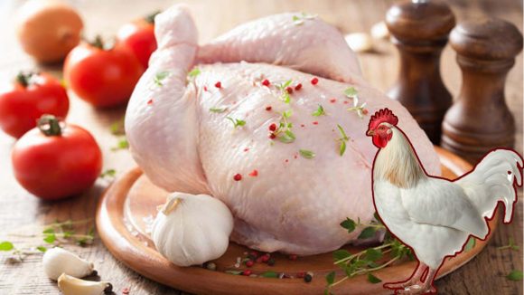 Chicken Price Hike: భారీగా పెరిగిన చికెన్ ధరలు.. కిలో ఎంతో తెలుసా?