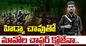 Tulsi Plant: తులసి మొక్క ముందు రోజూ దీపం ఎందుకు పెట్టాలి?