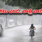 Rain Alert: తెలుగు రాష్ట్రాలకు రెయిన్ అలర్ట్..! మరో రెండు రోజులు ఉరుములు, మెరుపులు, పిడుగులతో కూడిన వర్షం..