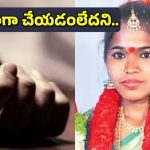 Vikarabad Crime: వంట సరిగ్గా చేయట్లేదని భర్త వేధింపులు.. పెళ్లైన ఐదు నెలలకే నవ వధువు ఆత్మహత్య