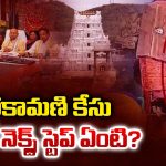 Parakamani: పరకామణి కేసు.. టీటీడీ నెక్స్ట్ స్టెప్ ఏంటి?