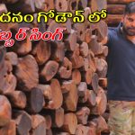 Pawan Kalyan: ఎర్రచందనం గోదామును పరిశీలించిన డిప్యూటీ సీఎం పవన్ కల్యాణ్.. అడవిలో కాలినడకన ప్రయాణం