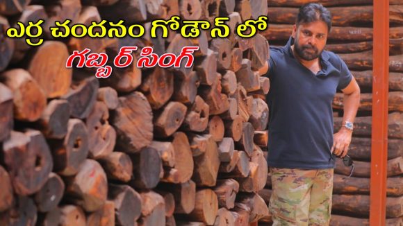 Pawan Kalyan: ఎర్రచందనం గోదామును పరిశీలించిన డిప్యూటీ సీఎం పవన్ కల్యాణ్.. అడవిలో కాలినడకన ప్రయాణం