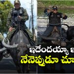 Cops Ride Buffaloes: బర్రెల మీద పోలీసుల పెట్రోలింగ్, ఆ బాధ తప్పాలంటే ఇవే బెస్ట్!