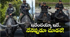 Cops Ride Buffaloes: బర్రెల మీద పోలీసుల పెట్రోలింగ్, ఆ బాధ తప్పాలంటే ఇవే బెస్ట్!