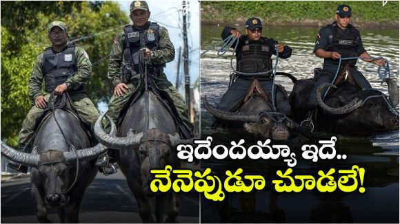 Cops Ride Buffaloes: బర్రెల మీద పోలీసుల పెట్రోలింగ్, ఆ బాధ తప్పాలంటే ఇవే బెస్ట్!