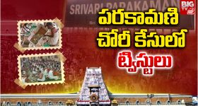 VishnuKumar Raju: విష్ణుకుమార్‌రాజుకు మంత్రి పదవి?