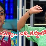 Karthika Deepam : ‘కార్తీక దీపం ‘ వంటలక్క జీవితంలో కన్నీళ్లు.. ఆ కోరిక తీరలేదట.. పాపం..