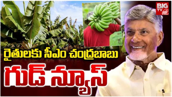 CM Chandrababu: బిగ్ టీవి ఎఫెక్ట్.. అరటి రైతులకు బిగ్ రిలీఫ్! సీఎం చంద్రబాబు కీలక నిర్ణయం