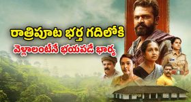Agnisakshi Serial Heroine: 'అగ్నిసాక్షి' గౌరీ జీవితమంతా కష్టాలు.. కన్నీళ్లు తెప్పించే స్టోరీ..