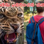 Boy fights leopard:  స్కూలు బ్యాగే రక్షక కవచంలా.. చిరుతపులిని తరిమికొట్టిన 5వ తరగతి విద్యార్థి