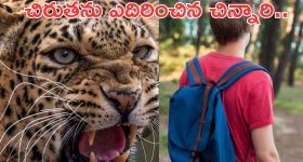 Boy fights leopard:  స్కూలు బ్యాగే రక్షక కవచంలా.. చిరుతపులిని తరిమికొట్టిన 5వ తరగతి విద్యార్థి