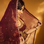 Shreya Ghoshal: మెరూన్‌ డ్రెస్‌ లో మెస్మరైజ్ చేస్తున్న శ్రేయా ఘోషల్‌