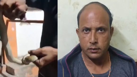 Snake Bite: యూపీలో వింత ఘటన.. కాటేసిన పామును పట్టుకునే ఆసుపత్రికి వెళ్లాడు! వీడియో వైరల్