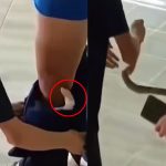 Snake in Underwear: లోదుస్తుల్లో పాము.. వైరల్ వీడియో వెనుక అసలు నిజం ఇదే!