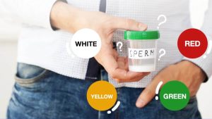 Sperm Colour: వీర్యం రంగు మారుతుందా? ఆ కలర్ లో ఉంటే అంతే సంగతులు!