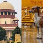 Supreme Court On Street Dogs: వీధి కుక్కల కేసులో సుప్రీంకోర్టు కీలక ఆదేశాలు.. స్కూళ్లు, రైల్వే స్టేషన్లకు 8 వారాల్లోగా ఫెన్సింగ్
