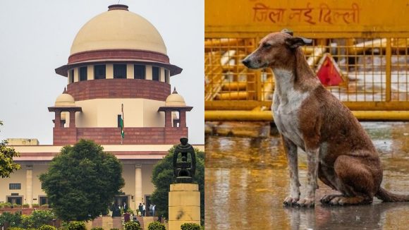Supreme Court On Street Dogs: వీధి కుక్కల కేసులో సుప్రీంకోర్టు కీలక ఆదేశాలు.. స్కూళ్లు, రైల్వే స్టేషన్లకు 8 వారాల్లోగా ఫెన్సింగ్