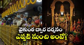 Vaikunta Dwara Darshan: 8 లక్షల మందికి వైకుంఠ ద్వార దర్శనం టోకన్లు, ఎలా పొందాలంటే?