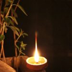 Tulsi Plant: తులసి మొక్క ముందు రోజూ దీపం ఎందుకు పెట్టాలి?
