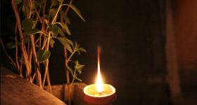 Tulsi Plant: తులసి మొక్క ముందు రోజూ దీపం ఎందుకు పెట్టాలి?