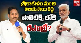 Vijaysai Reddy: శ్రీకాకుళం నుంచి..  విజయసాయి రెడ్డి  పాలిటిక్స్ లోకి రీఎంట్రీ?