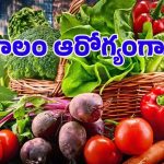 Winter Vegetables: సీజనల్ వ్యాధులకు చెక్.. శీతాకాలంలో ఈ కూరగాయలు తింటే నిండు ఆరోగ్యం!